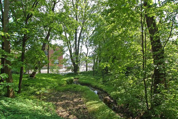 Tollkeeper’s Cottage & Wychwood Park