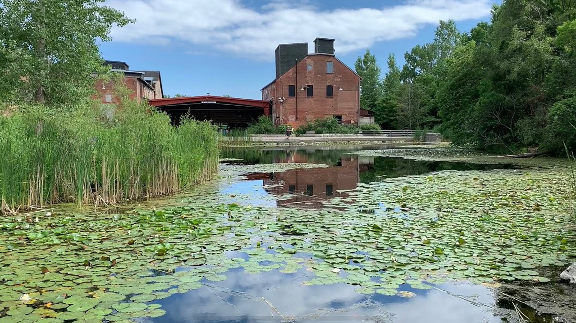 an old building at the Brickworks in the background with a pond and lily pads in the foreground