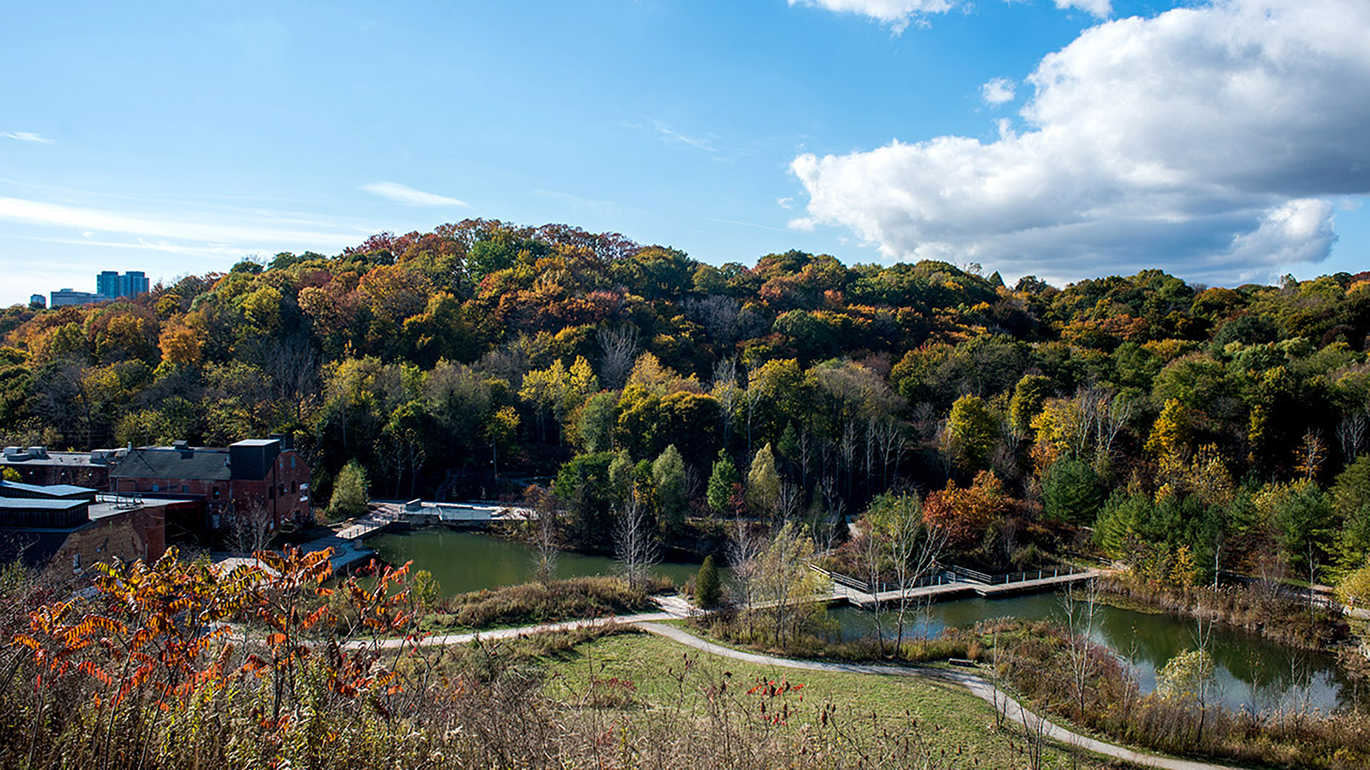 Don Valley To Taylor Creek Ravine Walk