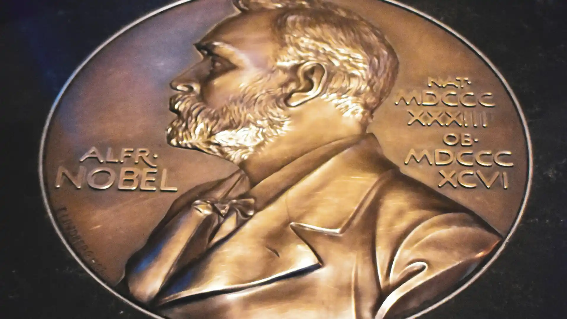 Nobel Prize medal with a side portrait of Alfred Nobel on it in bronze