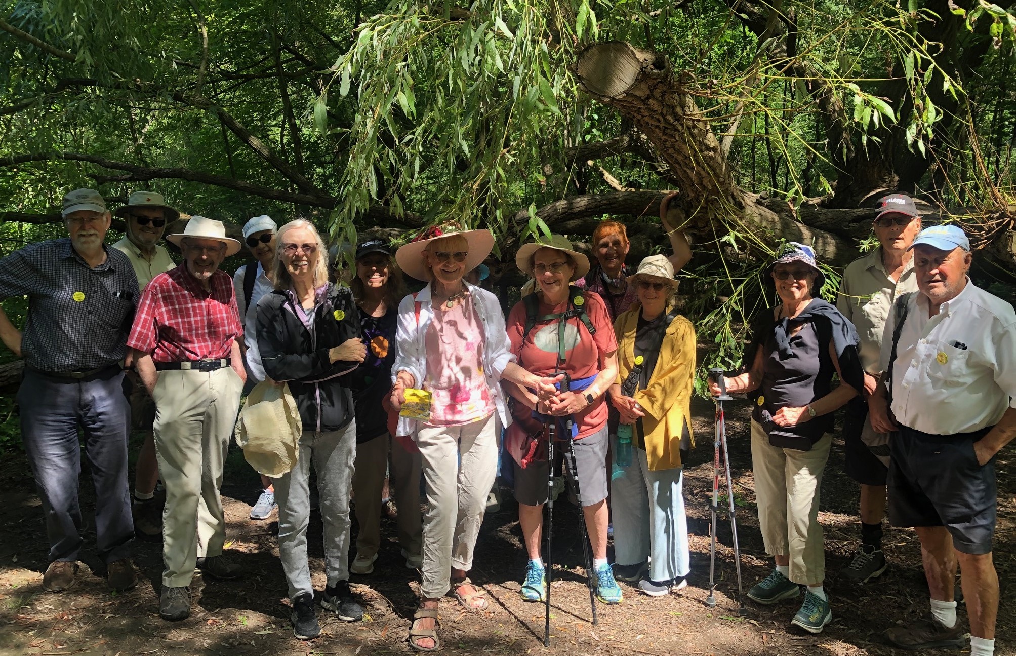 Group of walkers in a park